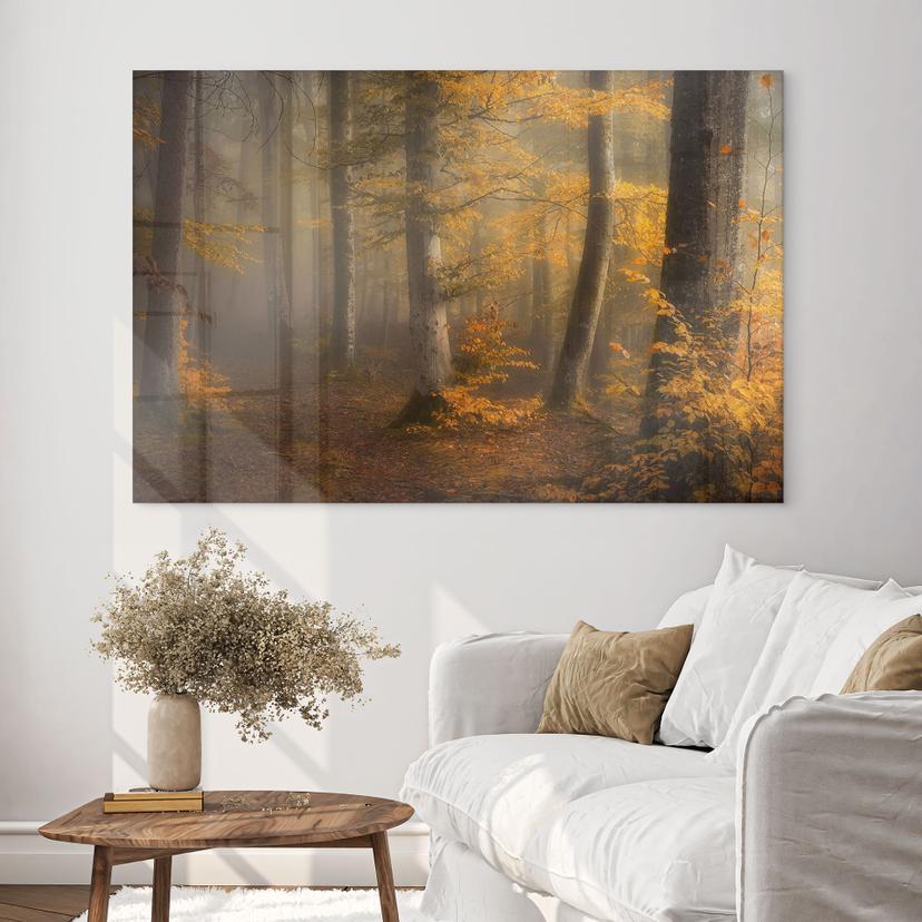 Tableau en verre acrylique Feuilles d'or dans la forêt brumeuse - Maier