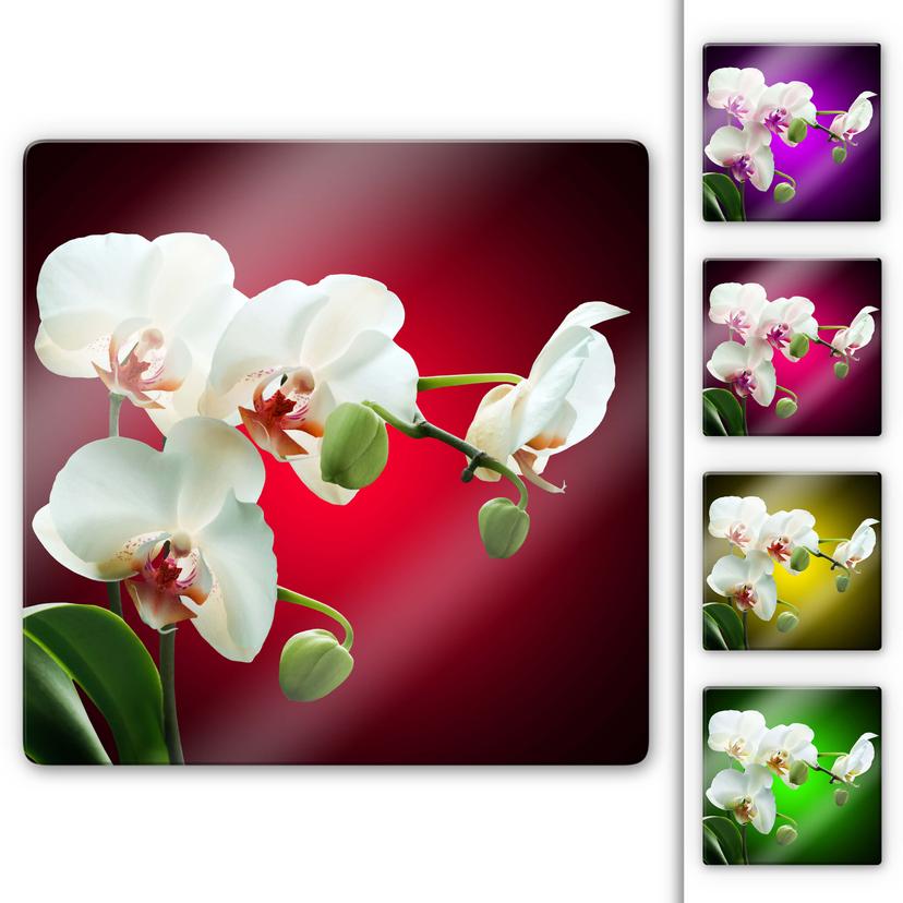 Tableau en verre - Floraison d'une orchidée - carré