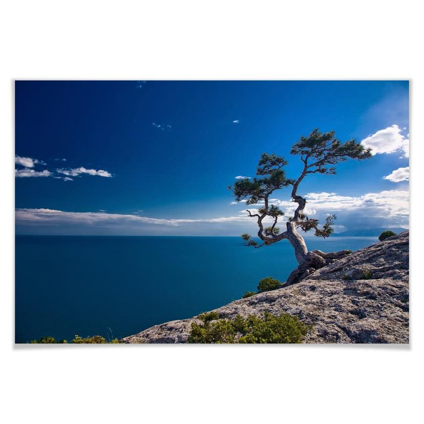Poster - Sea and Tree