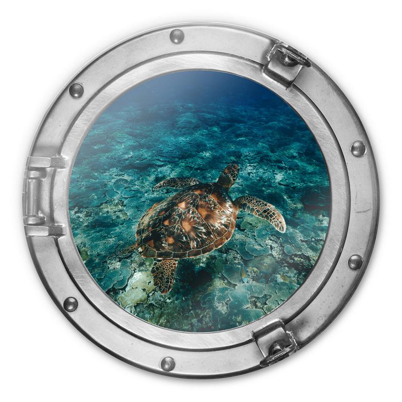 Glasschilderij rond - Sea Turtle