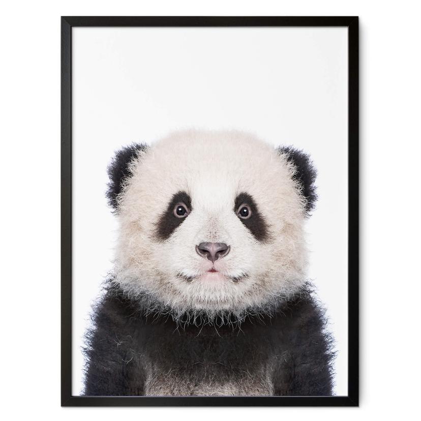 Póster Sisi & Seb - Panda bebé