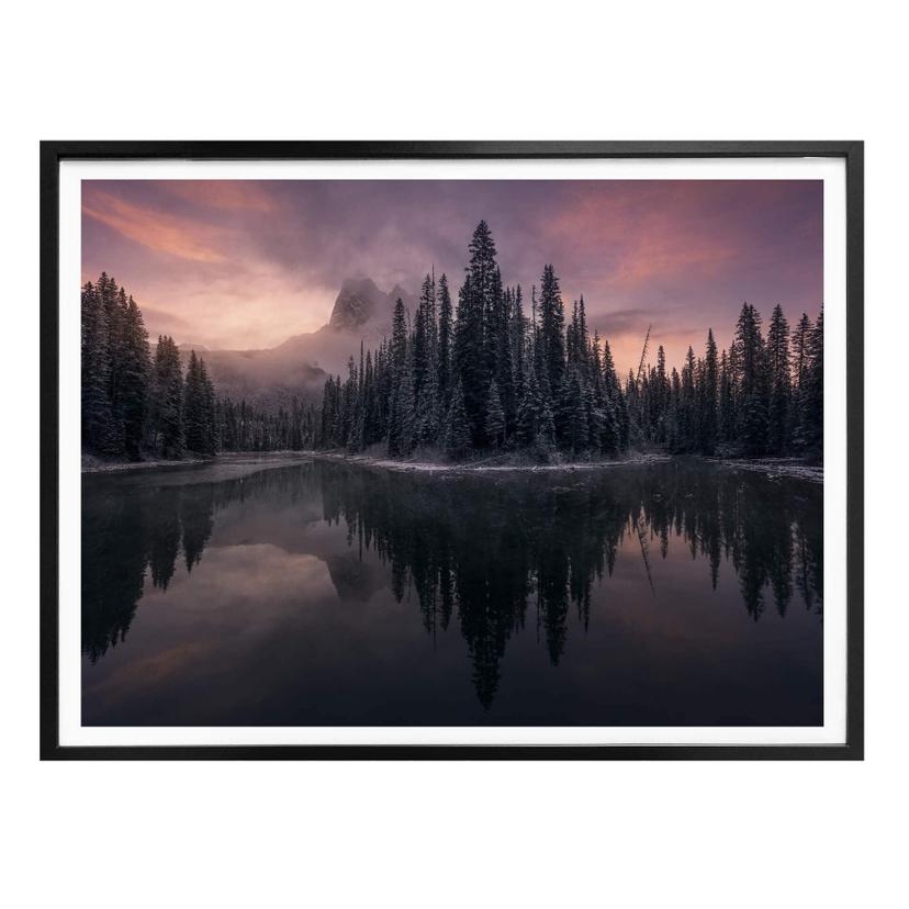 Póster Castan - Bosque de cuento de hadas