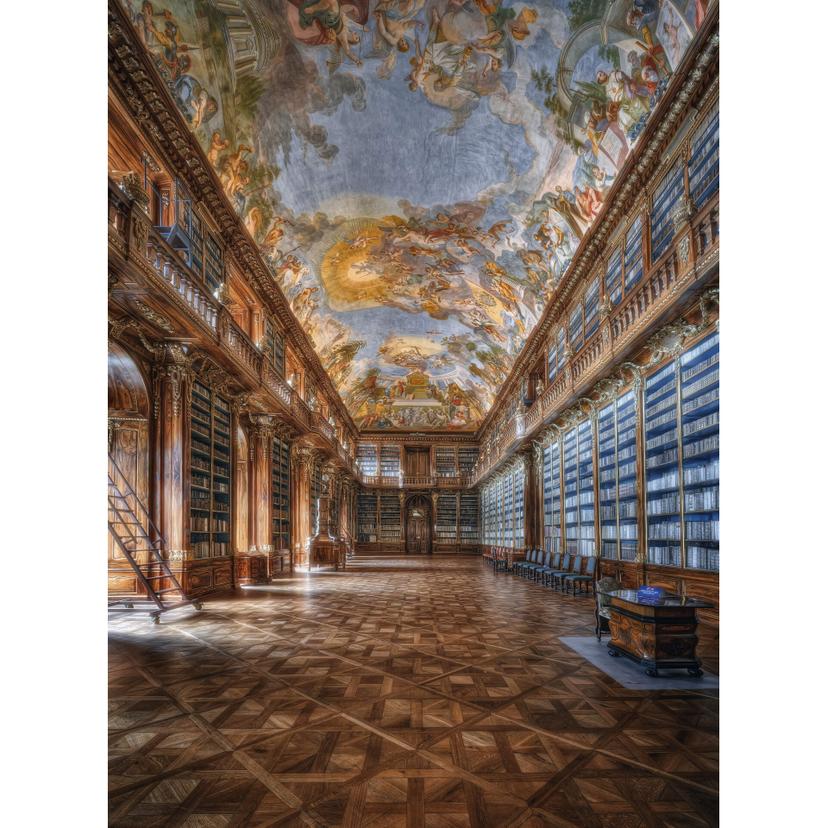 Fotomurale Aurednik - Sala Filosofica