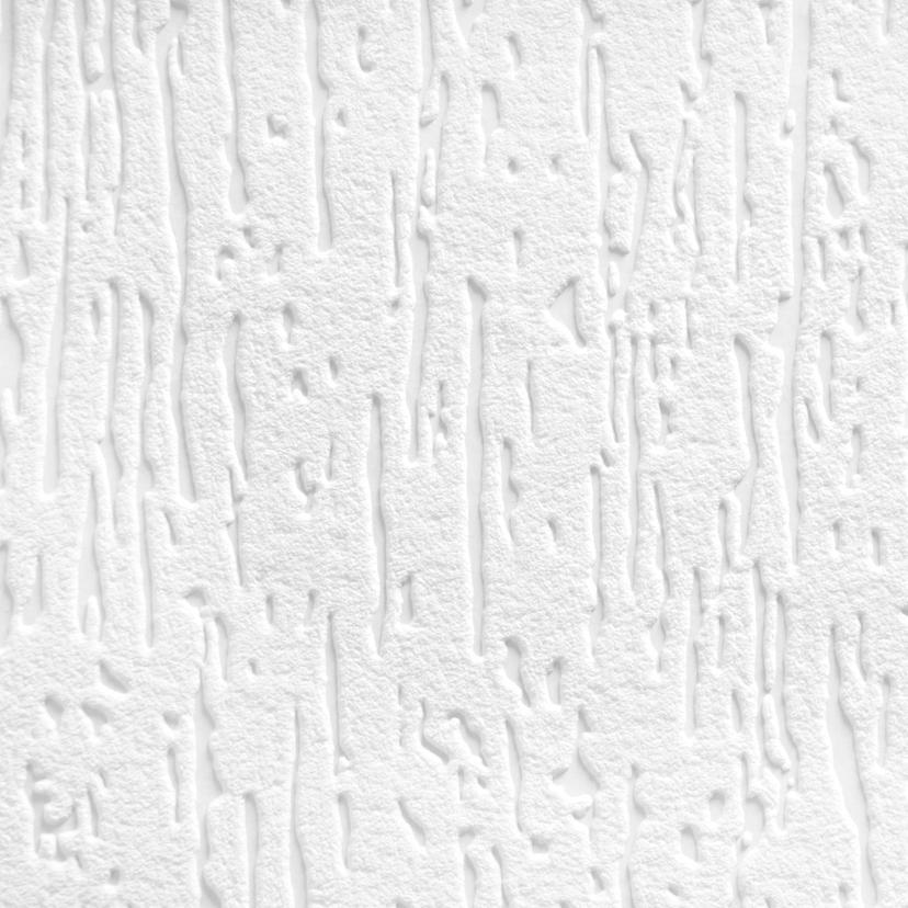 A.S. Création - carta da parati in TNT verniciabile Meistervlies Pro Protect 2 colore bianco