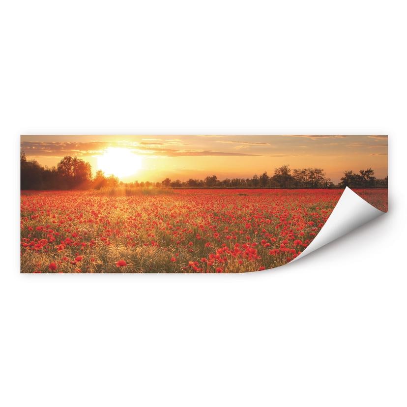Muurprints Klaprozen bij Zonsondergang Panorama