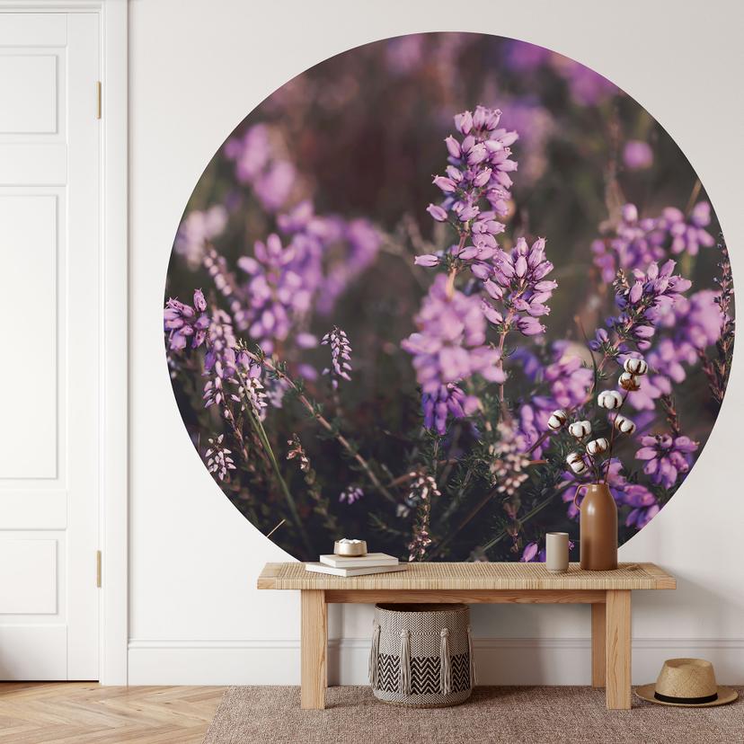 Natur fototapet lilla lyngblomst i varmt lys - Annie - Round - vliesetapet/selvklæbende non-woven ta