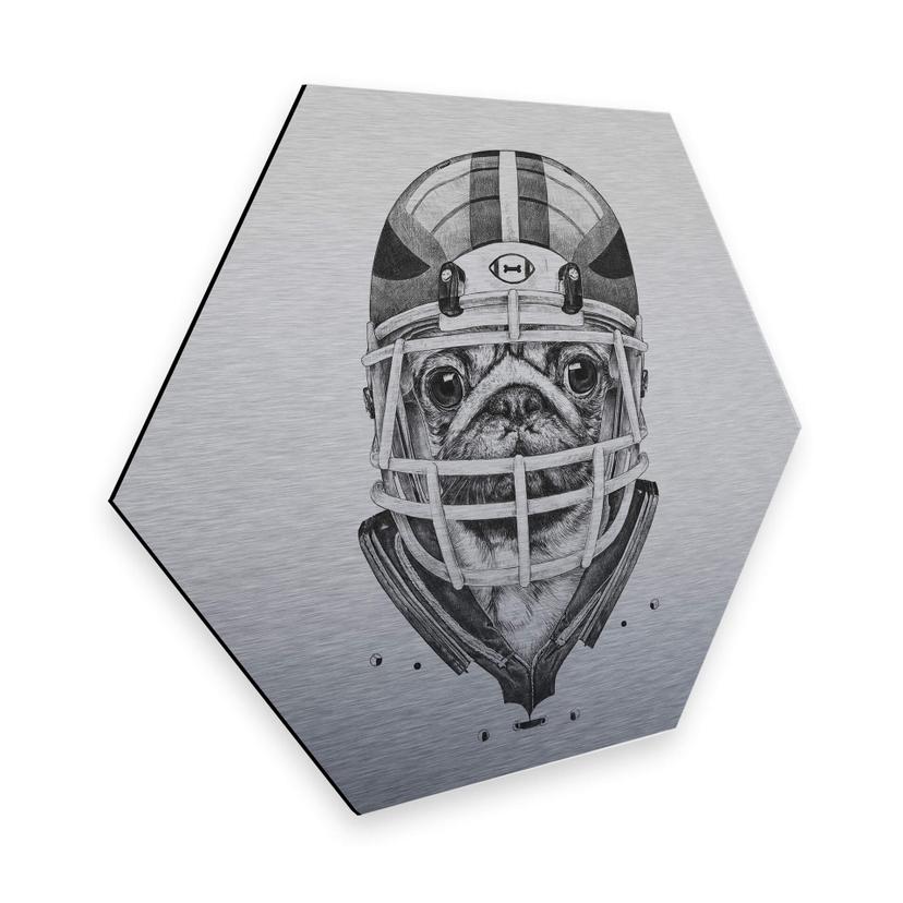 Hexagon - Alu-Dibond zilver effect Kools - American Pug Football