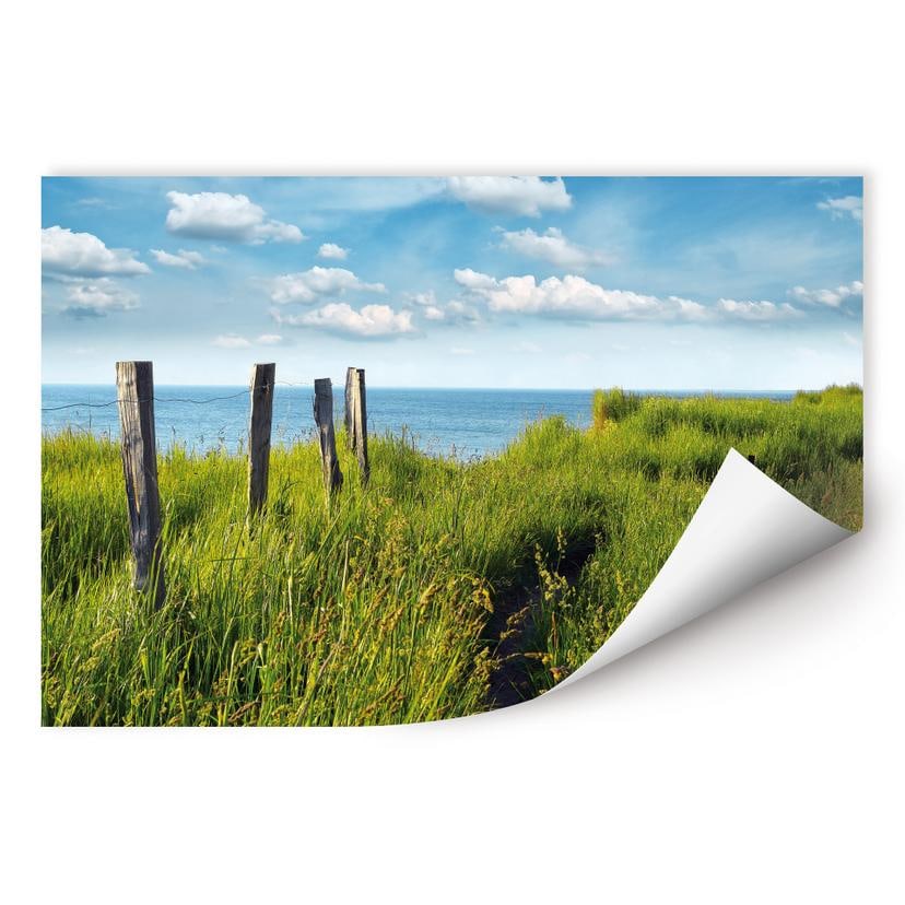 Zelfklevende Poster - Way to the Lake