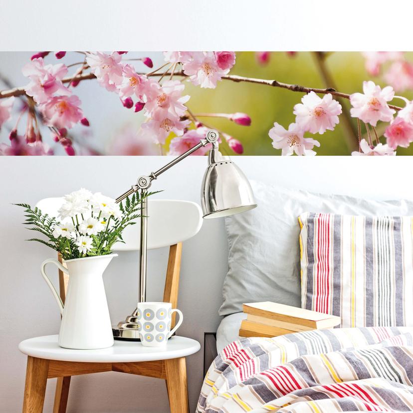 Fototapete Cherry Blossoms - Panorama - 48x260 cm