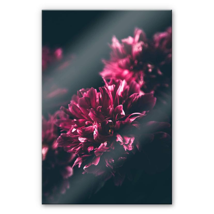 Akrylbillede Pink Flower Dream 01