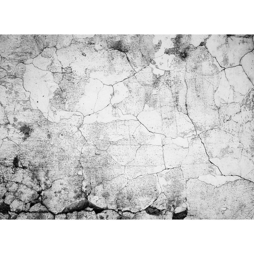 Livingwalls Fotomurale Designwalls - Crepe nel cemento