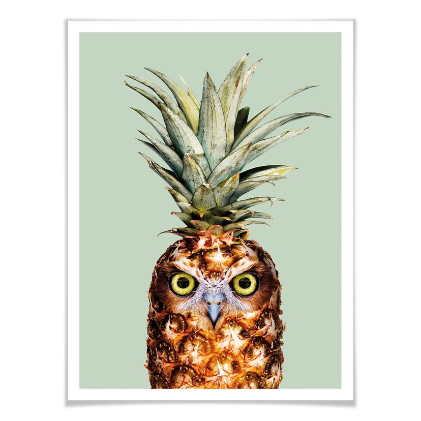 Poster Loose - Ananufo