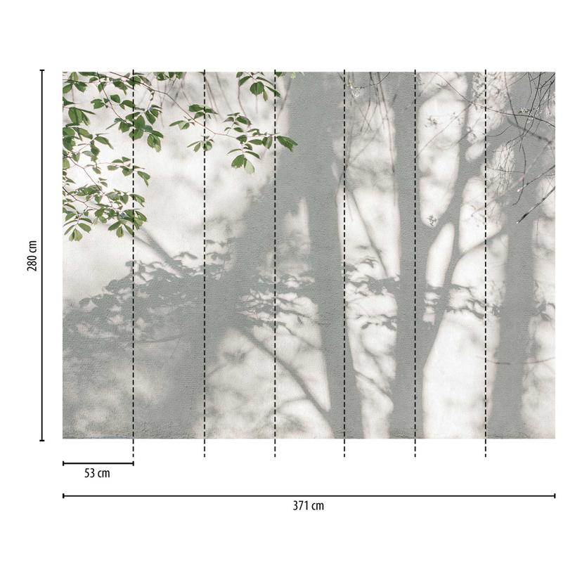 Ombra della foresta grigio verde - carta da parati in tessuto non tessuto con effetto ombra - carta