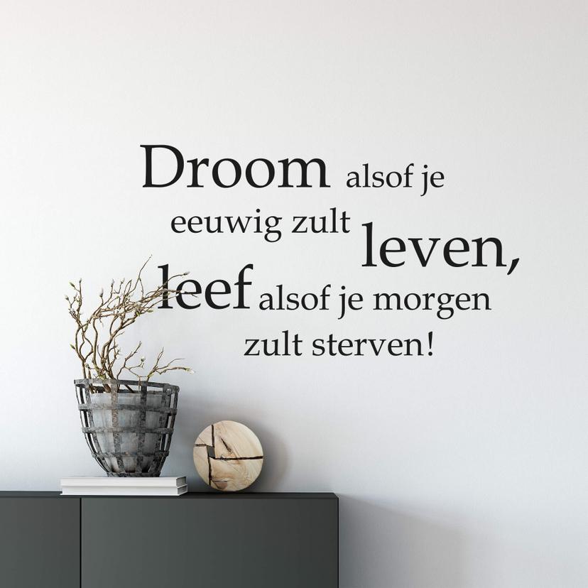 Muursticker Droom alsof je...