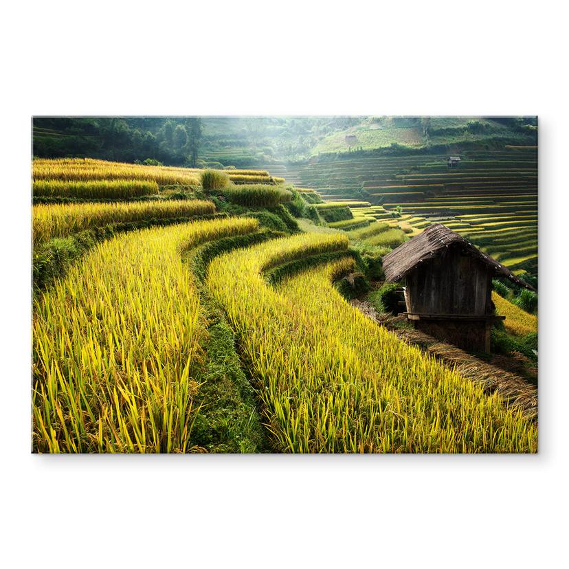 Akrylbillede Intarob - Rismarker i Vietnam