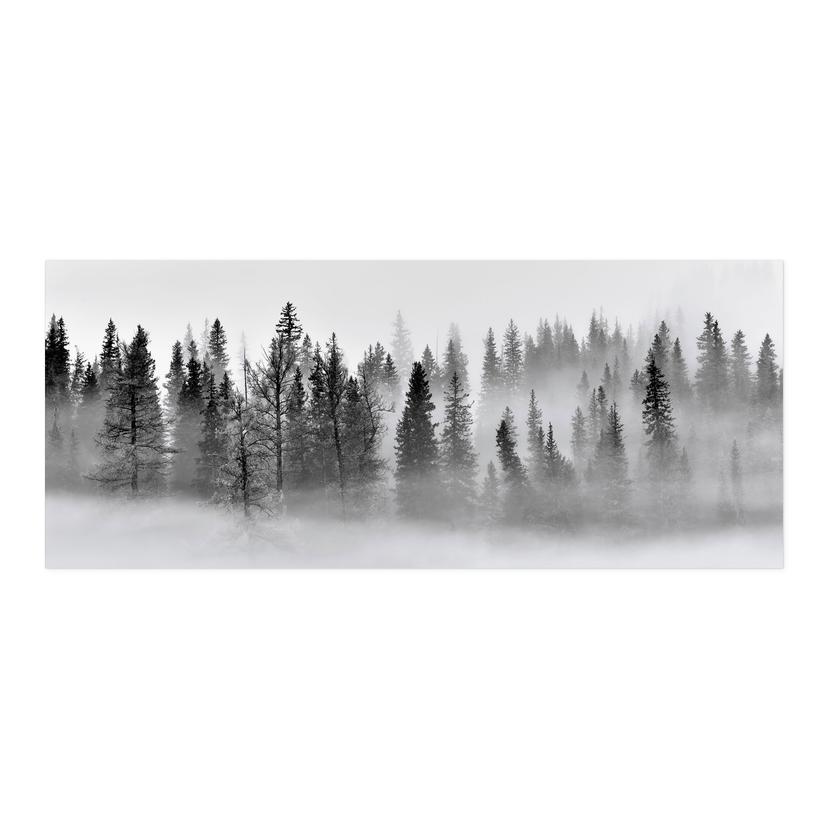 Pannello posteriore autoadesivo Xu - Foggy Forest