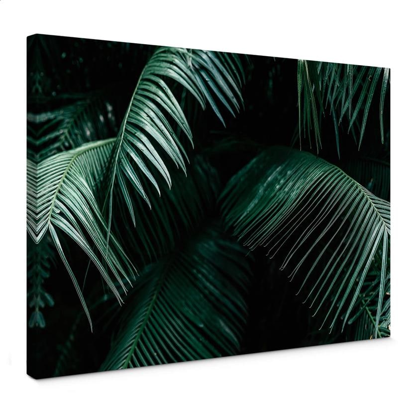 Tableau sur toile Botanique tropicale