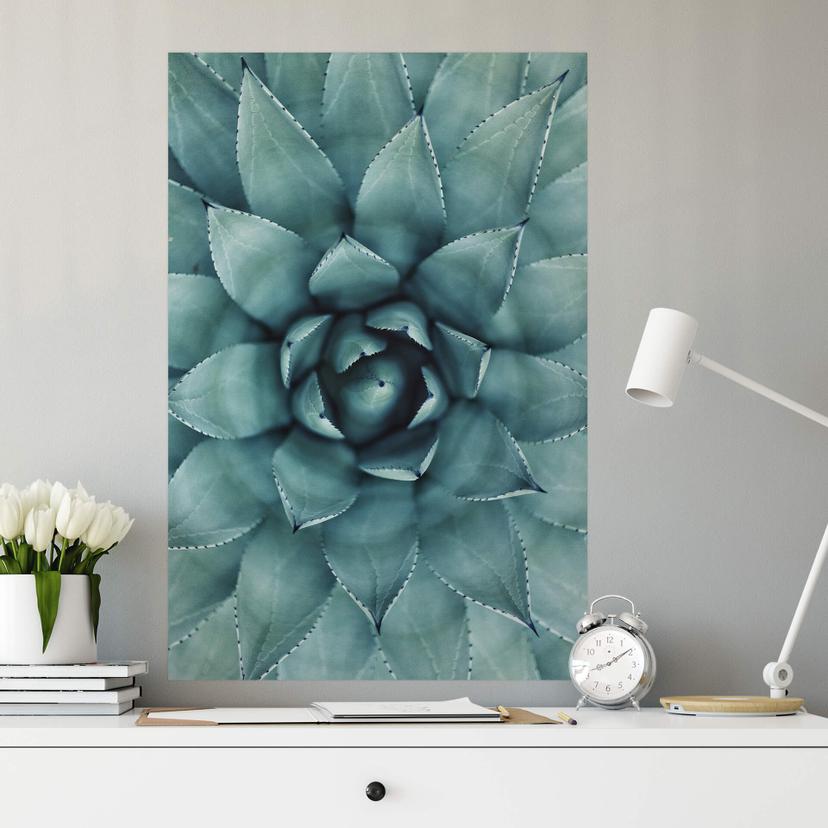 Stampa murale Agave 02