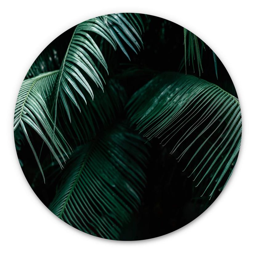 Tableau sur alu-Dibond rond Botanique tropicale
