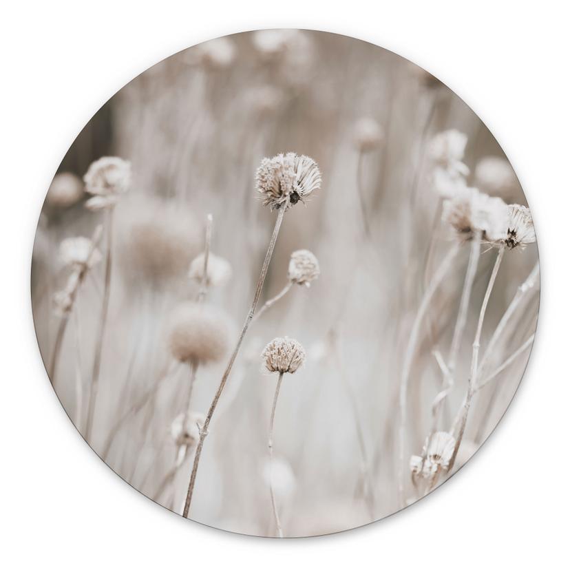 Billede Tørrede blomster i bløde toner - Annie - Alu-Dibond Round