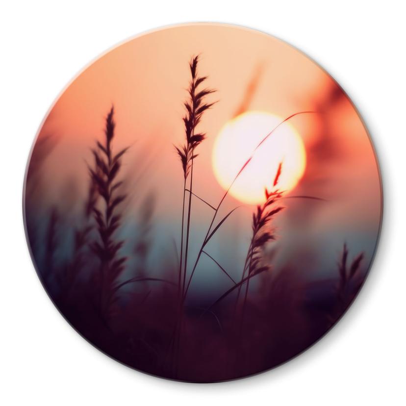 Glasbillede - Græsser i lyset af den glødende sol - Treechild - Rund