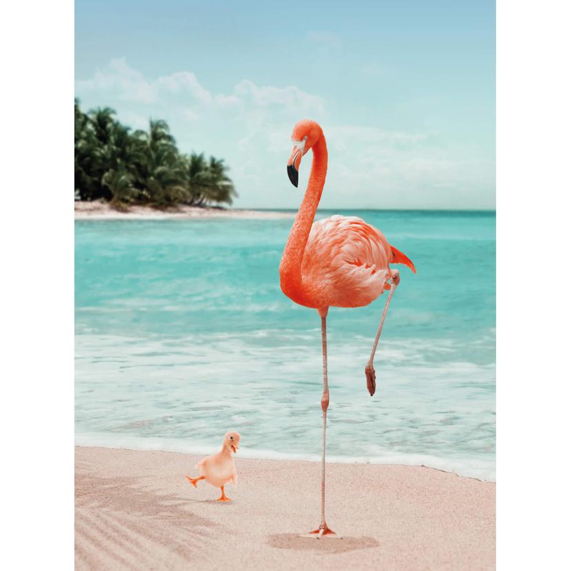Fotomurale Loose – Wannabe Flamingo