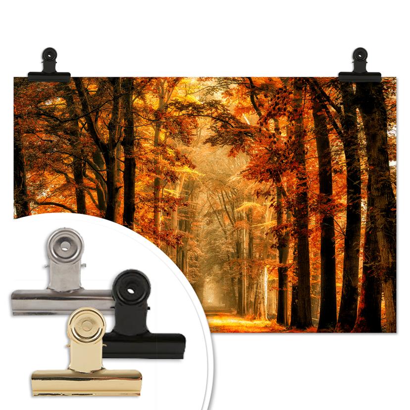 Poster van de Goor - Viale alberato in autunno