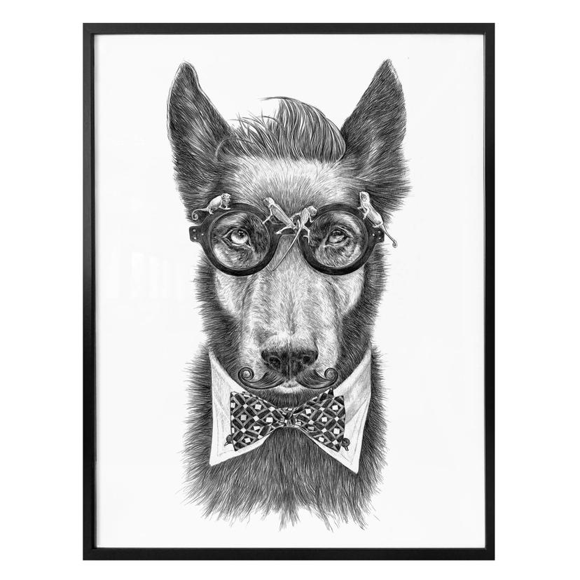Póster Kools - Docga Bowie