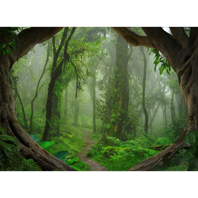 Livingwalls Fotomurale Designwalls -  Tropical Forest