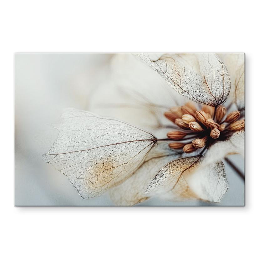 Pannello paraschizzi struttura di un fiore secco - Treechild