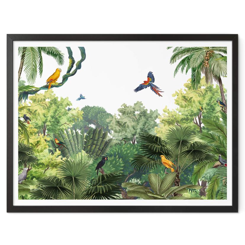 Póster Kikki Belle - Aves tropicales