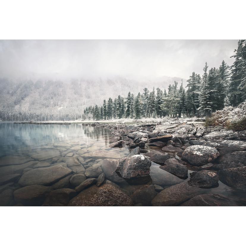 Fototapet Landskap - Vinterskog vid sjön - Rostovskiy