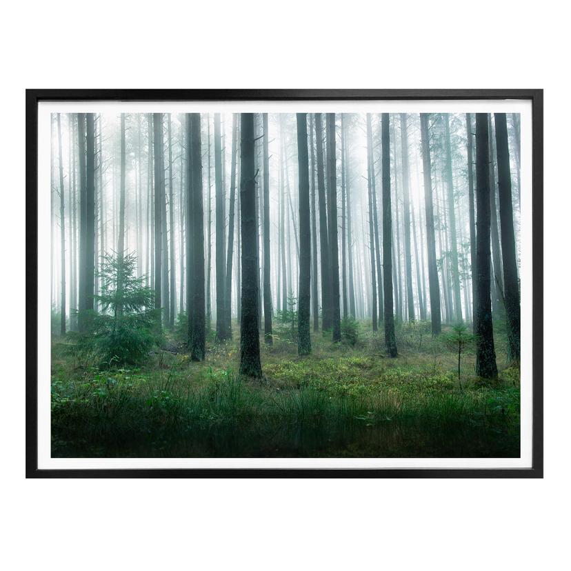 Póster Lindsten - En el bosque