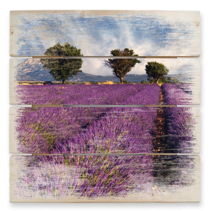 Cuadro de madera campo de lavanda - 40x41,5 cm