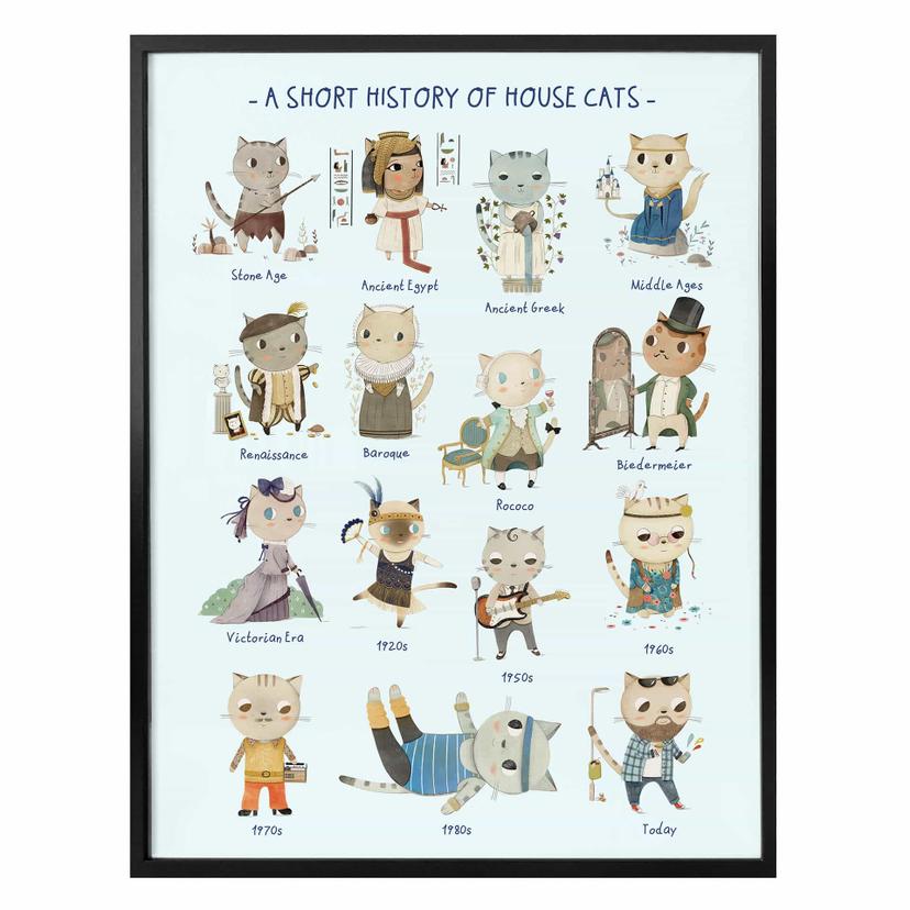 Poster Loske - History of house cats
