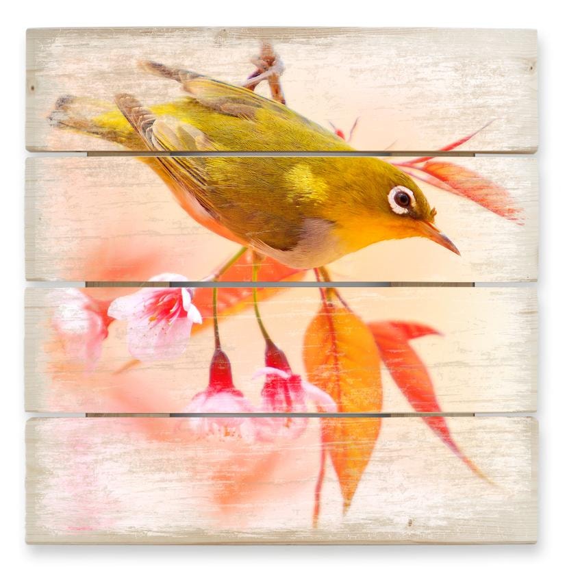 Holzbild Vogelgezwitscher in der Kirschblüte - 40x41,5 cm