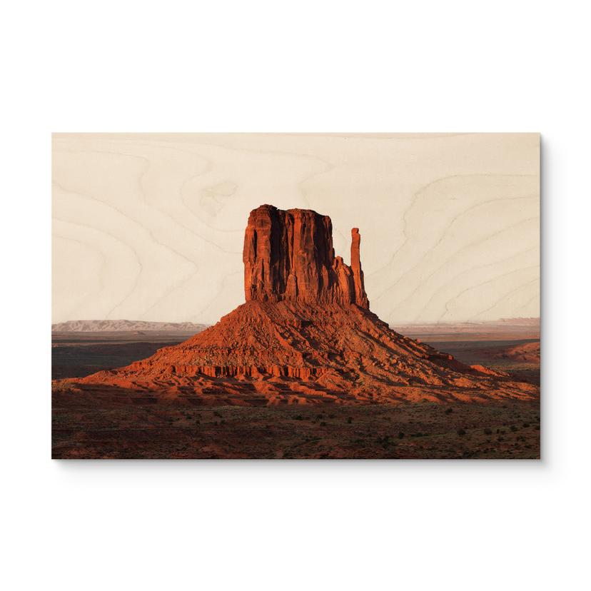 Billede af træ klippeformation i Monument Valley - Hugonnard