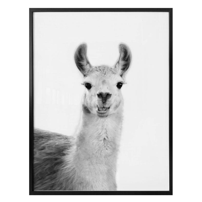 Póster Sisi & Seb - Happy Lama