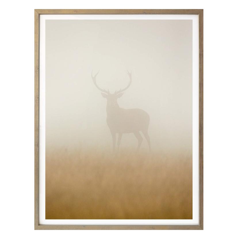 Poster Harling - Cerf dans le brouillard