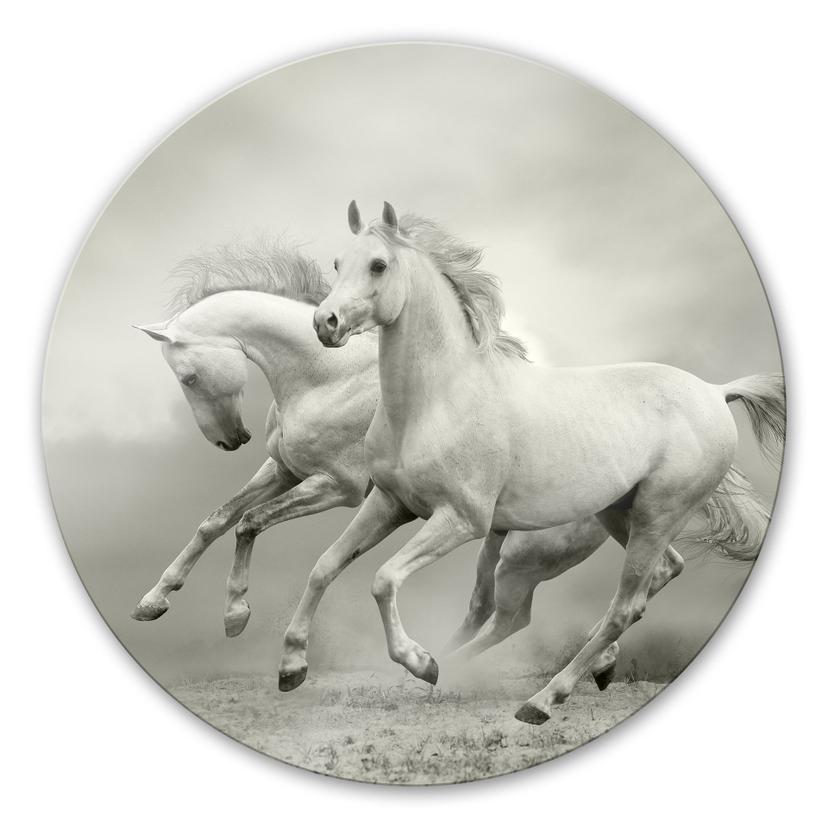 Tableau en verre - Chevaux au galop - rond