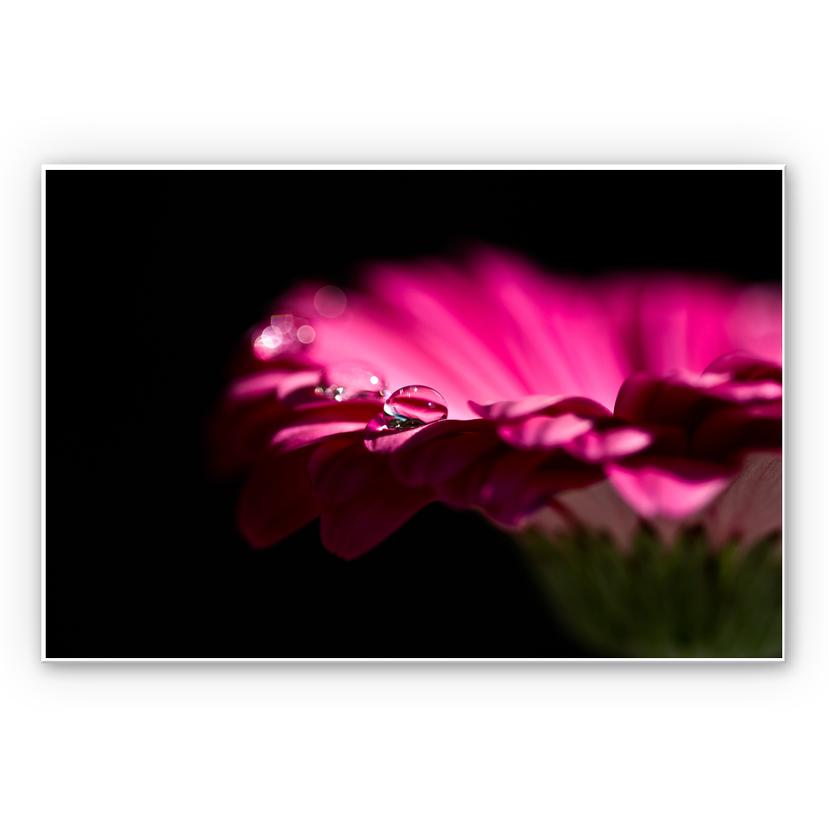 Tableau Forex - Waterdrop of Life