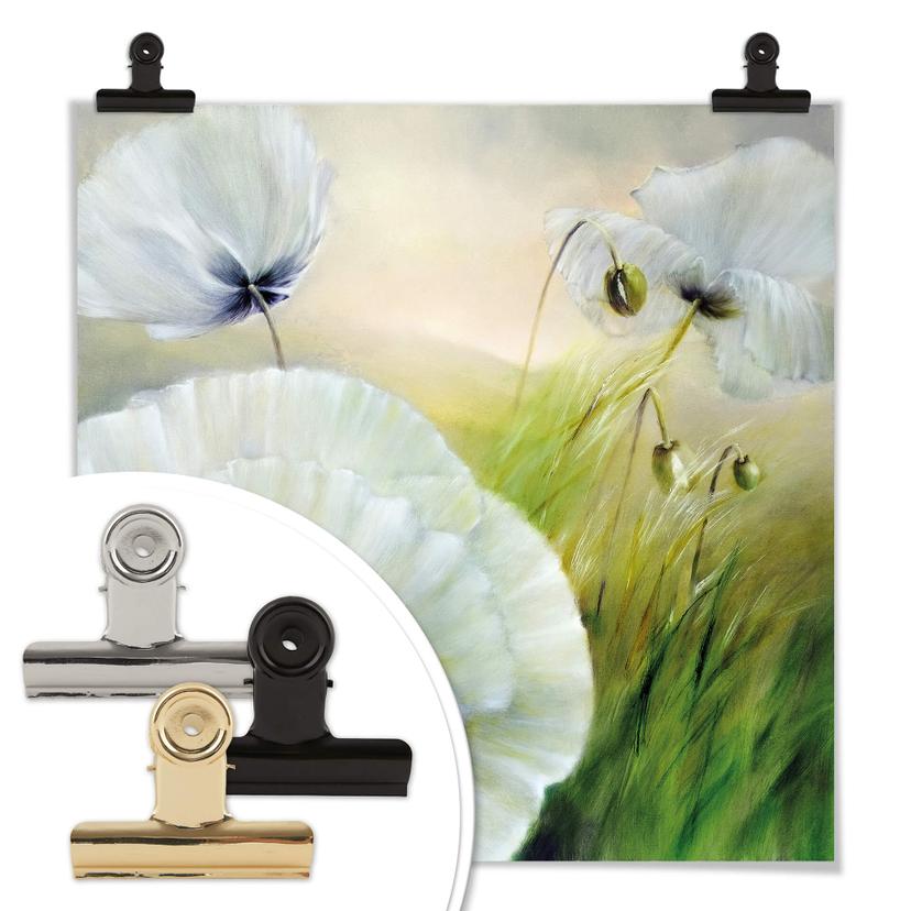 Poster Schmucker - Coquelicot blanc