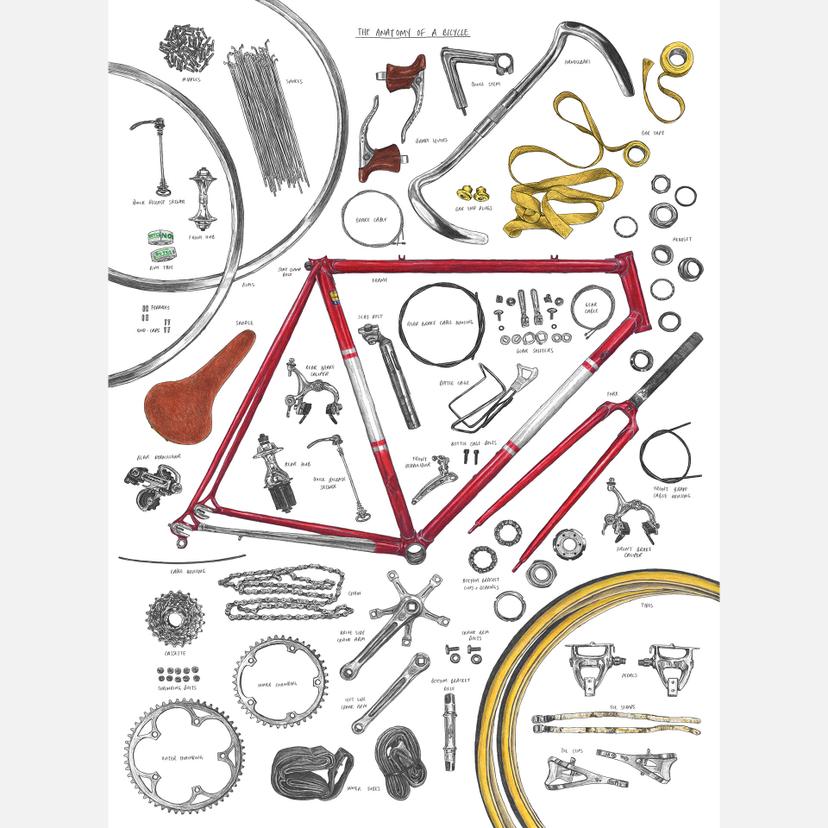 Fotomurale Sparshott - Struttura di una bicicletta