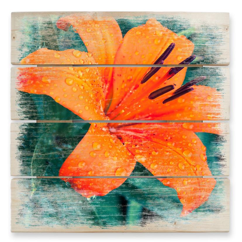 Hout Tropical Lily