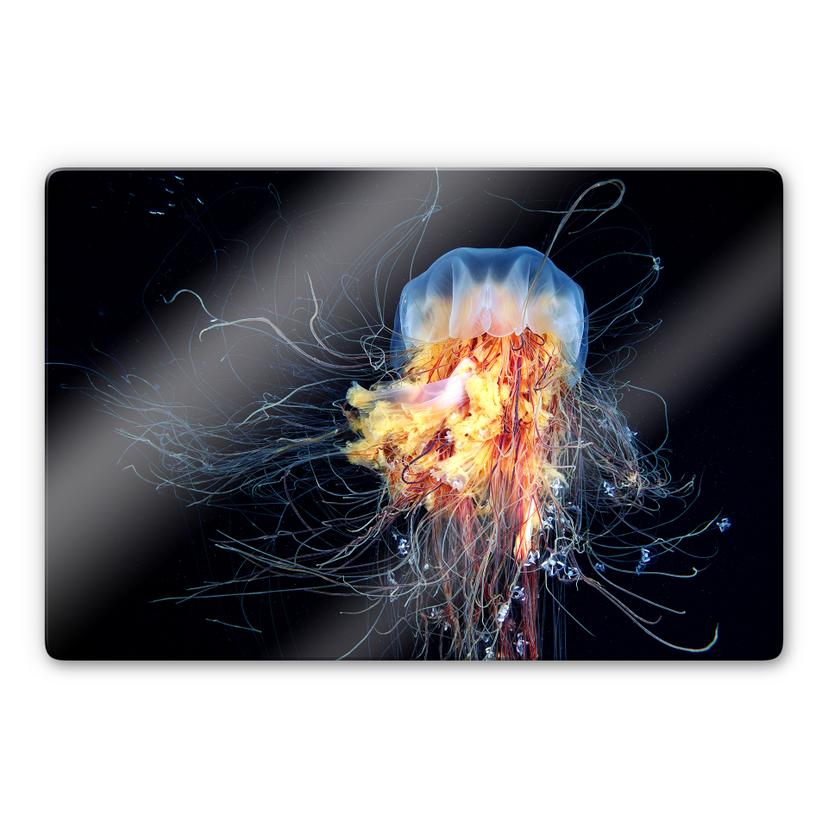 Tableau sur verre Semenov - Amazing Jellyfish