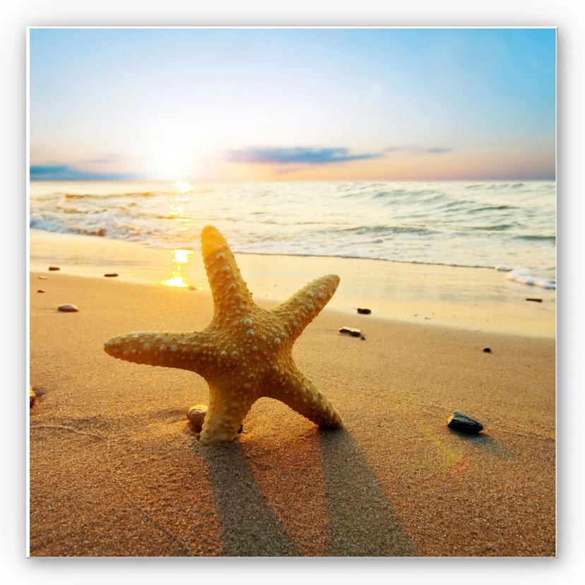 Tableau Forex - Étoile de mer dans le sable - carré