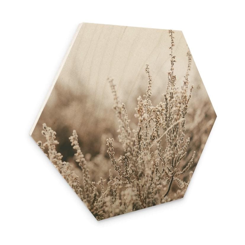 Hexagone - Bois Annie - Herbes