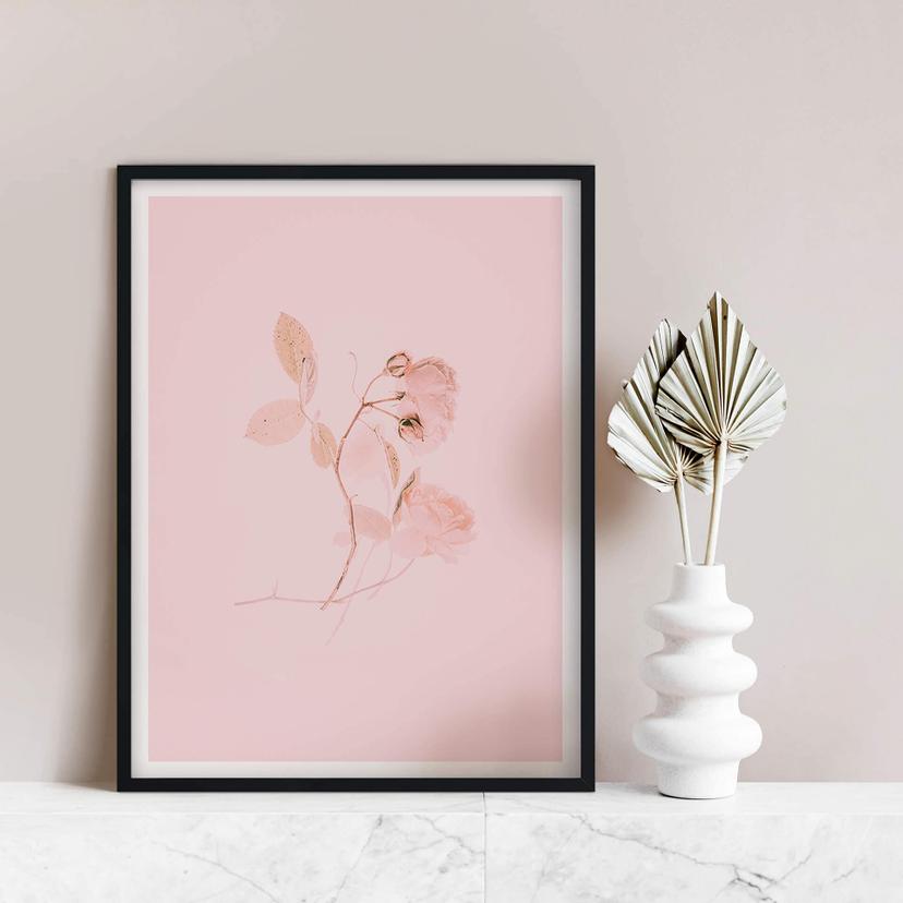 Poster Annie - La vie en rose
