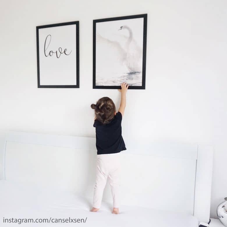 Poster - Cygne majestueux