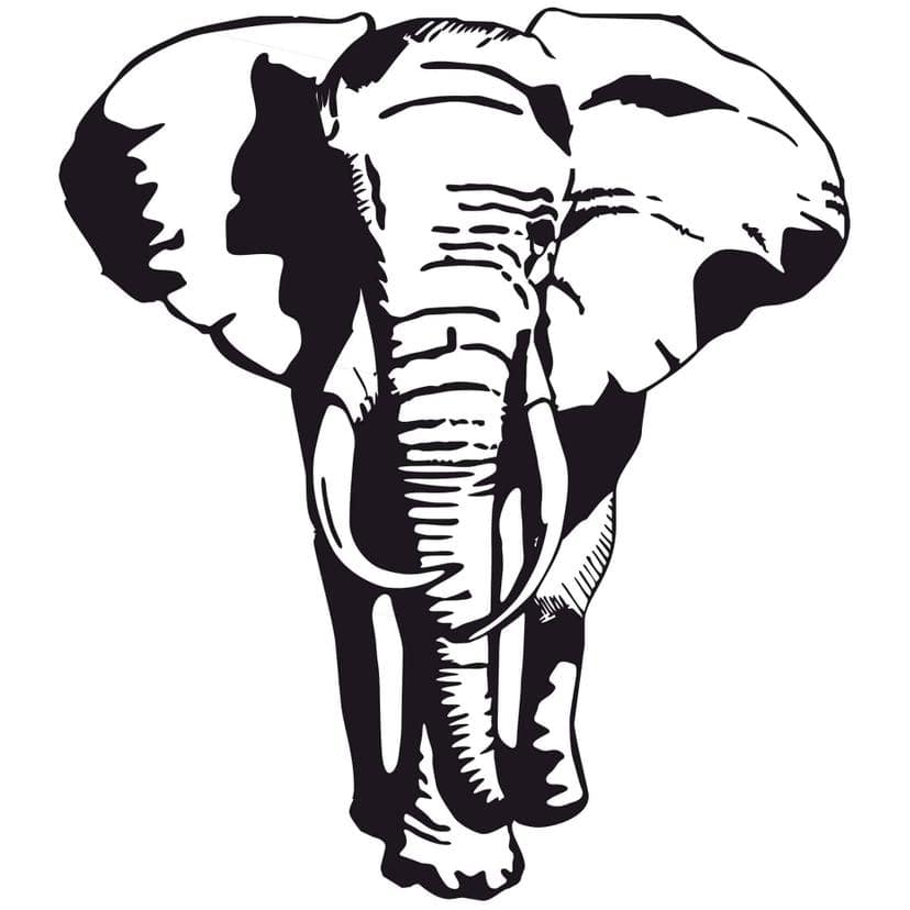 Adesivo murale - Elefante africano